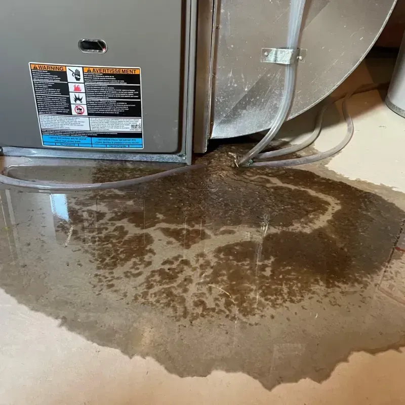 Appliance Leak Cleanup in Pearl River, MS